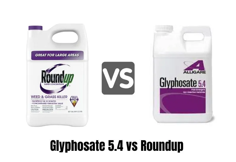 Glyphosate 5.4 vs Roundup