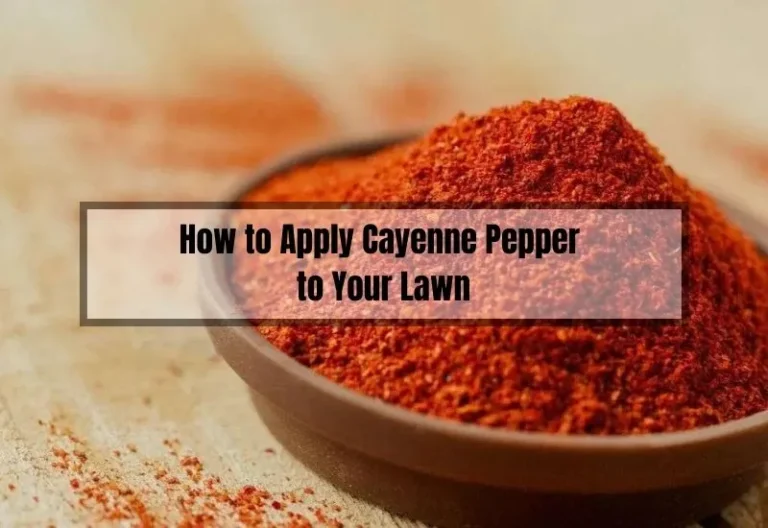 How to Apply Cayenne Pepper to Your Lawn