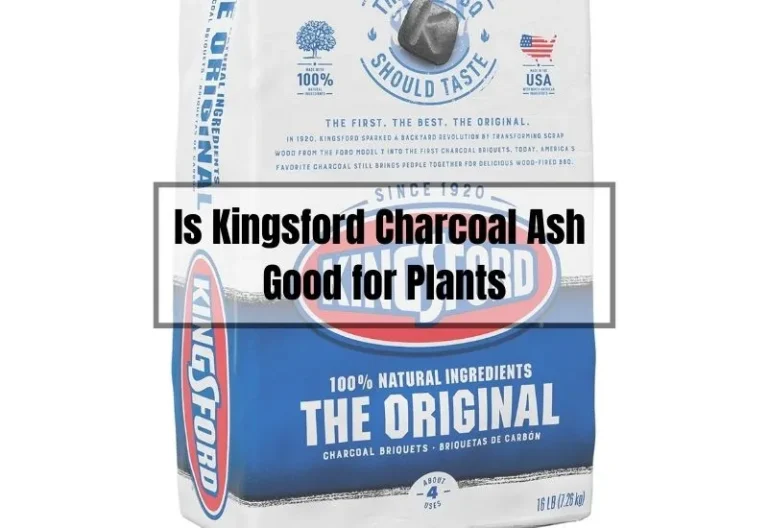 Is Kingsford Charcoal Ash Safe and Beneficial for Your Plants?
