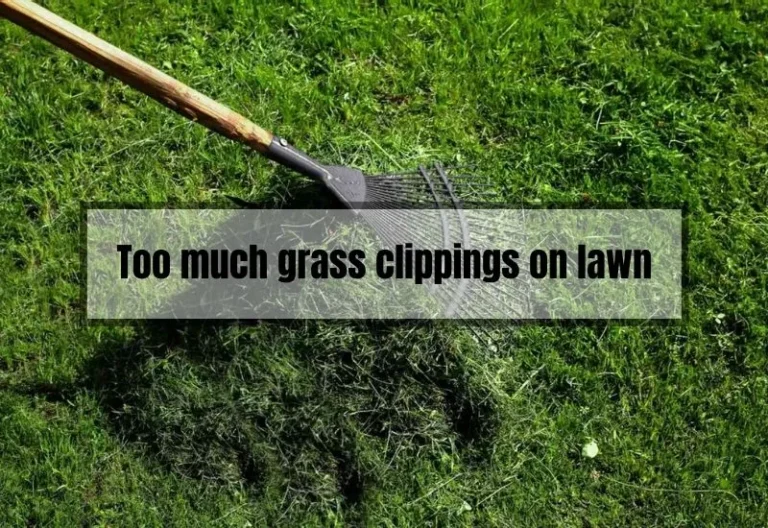 Eliminate Too Much Grass Clippings on Lawn: Top Solutions Unveiled!