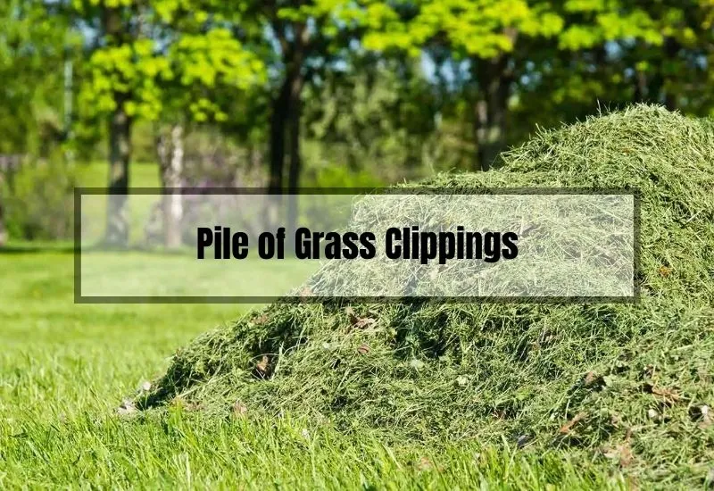 What Happens to a Pile of Grass Clippings
