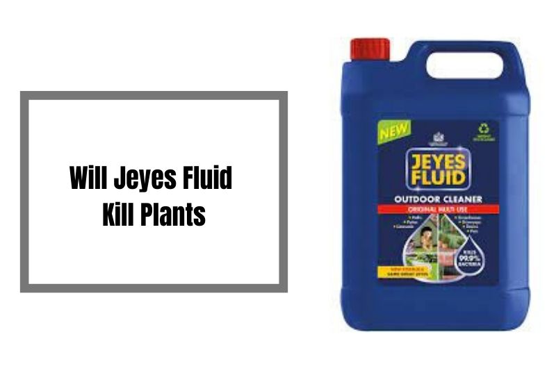 Will Jeyes Fluid Kill Plants