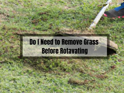 Grass Removal vs. Rotavating: Which is Best for Your Lawn?