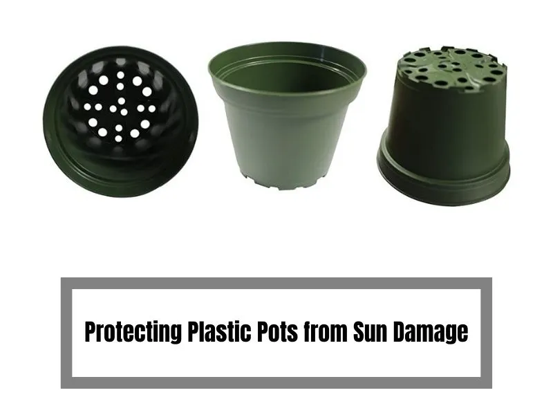 Protecting Plastic Pots from Sun Damage