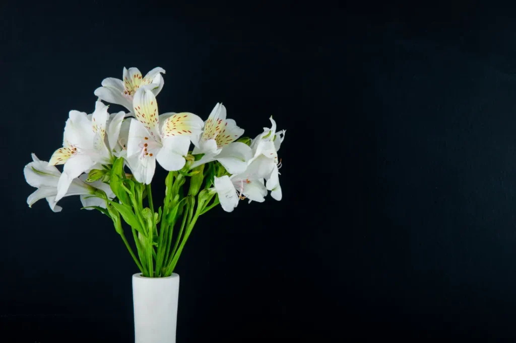 Are Easter Lilies Poisonous to Other Animals