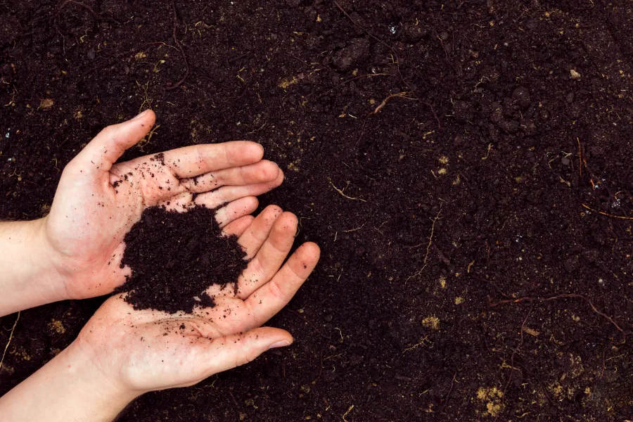 How to Improve Soil Quality