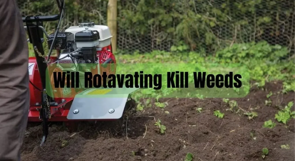 Will Rotavating Kill Weeds?