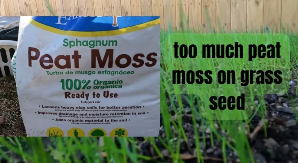 too much peat moss on grass seed