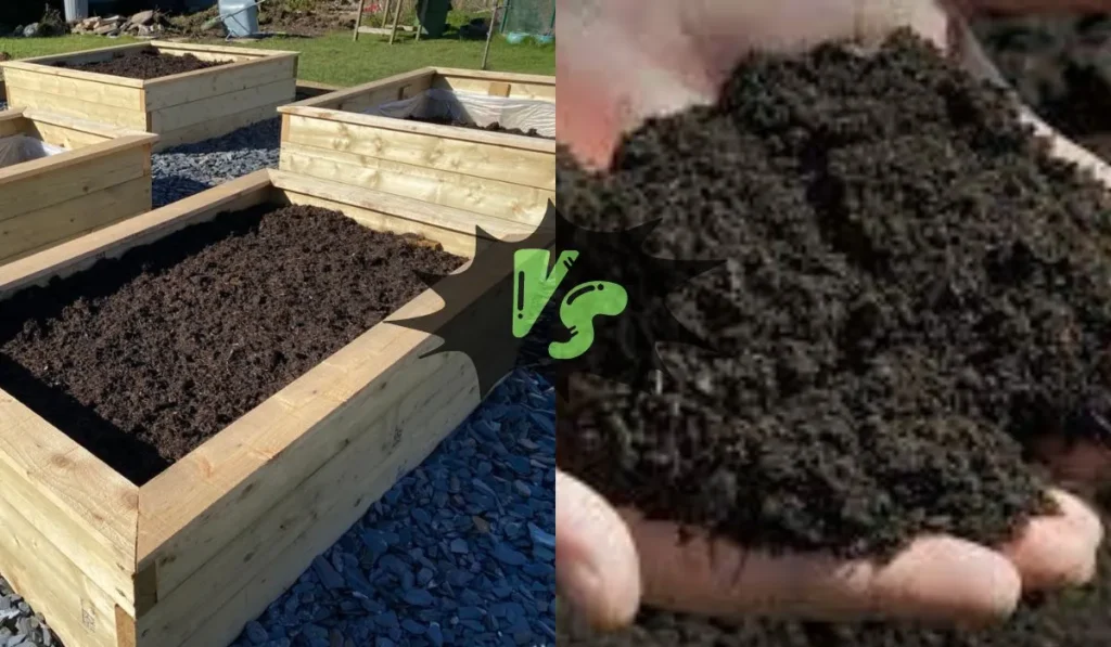 Raised Bed Soil vs Topsoil