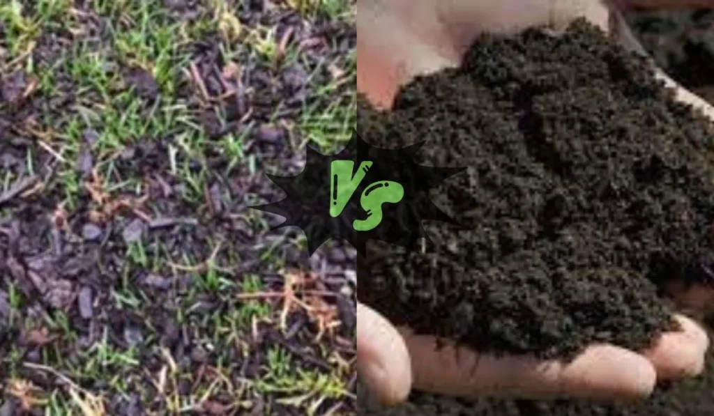 Scotts Lawn Soil vs Topsoil