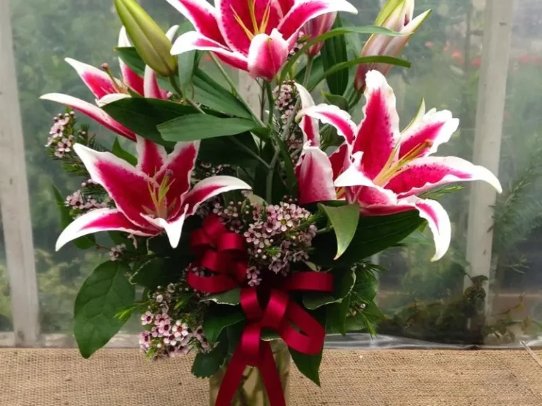 Are Stargazer Lilies Poisonous to Humans? Find Out Here