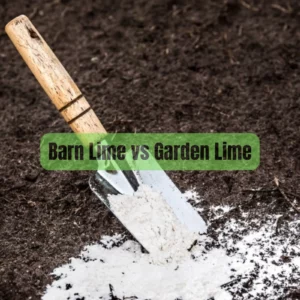 Barn Lime vs Garden Lime