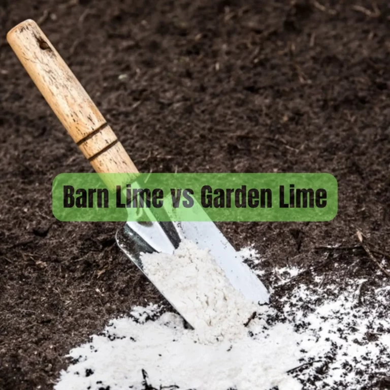 Exploring the Difference: Barn Lime vs Garden Lime – Which to Choose?
